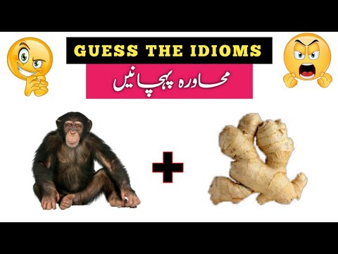 Guess Urdu Muhavre by Two Pictures | Guess Urdu Idioms | Urdu paheliyan Jawab Ke Sath | Aql e Ins