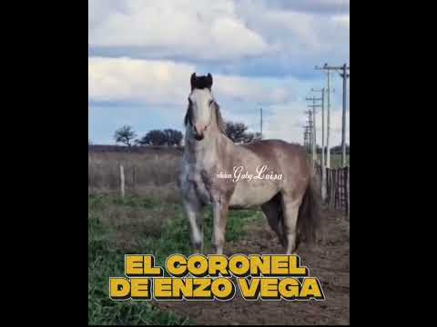 1⁰ de noviembre ALPACHIRI LA PAMPA - EL CORONEL DE ENZO VEGA VS MARTIN JUAREZ- 2 PAMPEANOS