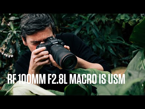 Get closer, with images larger than life - Introducing the RF 100MM F2.8L MACRO IS USM lens