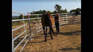 Stage avancé Cheval Blanc Cheval Noir : les photos, les photos!