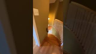 Real Estate Agent in Marlboro, NJ Tours $850k House | NJRealEstateAgent.com | Mario Hanna | #shorts