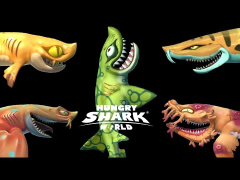 Heidi Shark Family! & Species - Hungry Shark World
