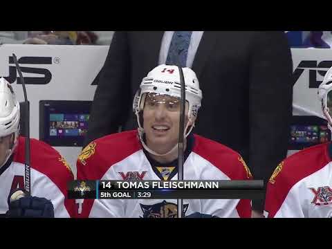 NHL    Dec.17/2013   Florida Panthers - Toronto Maple Leafs