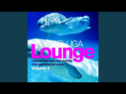 Morning Light (feat. Inusa) (Sinatic Chillout Remix)