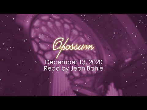 December 13: Opossum