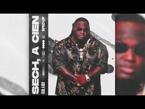 Borracho (Sped Up) - Sech (Audio Oficial)