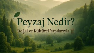 Peyzaj Nedir? | Doğayla Uyumlu Yaşamın Anahtarı!