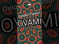 Oxlade, Flavour - OVAMI #shorts #newsong