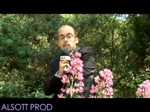 K SOS Feat NEGRESCRO Mc's Des Bas Fonds Produced by Alsott