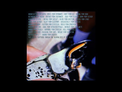 B From E - Garden Of E...