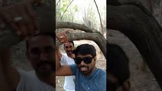 preview picture of video 'Mamandur forest - vanadarshini resort's'