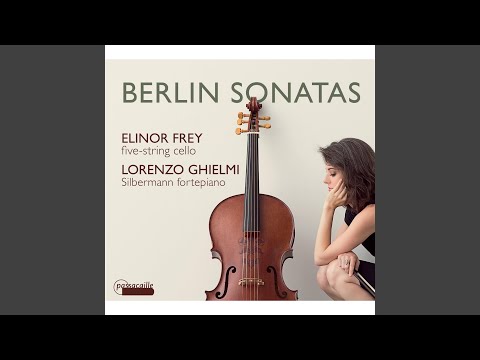 Sonata for violoncello and basso continuo in G Major, WKO 147: I. Allegro moderato