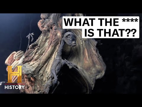 The Mysterious Creature Discovered in Russia
