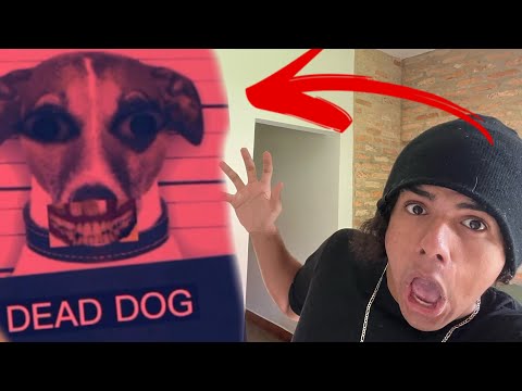 O Maior pesadelo da minha vida ☠️☠️(história completa)