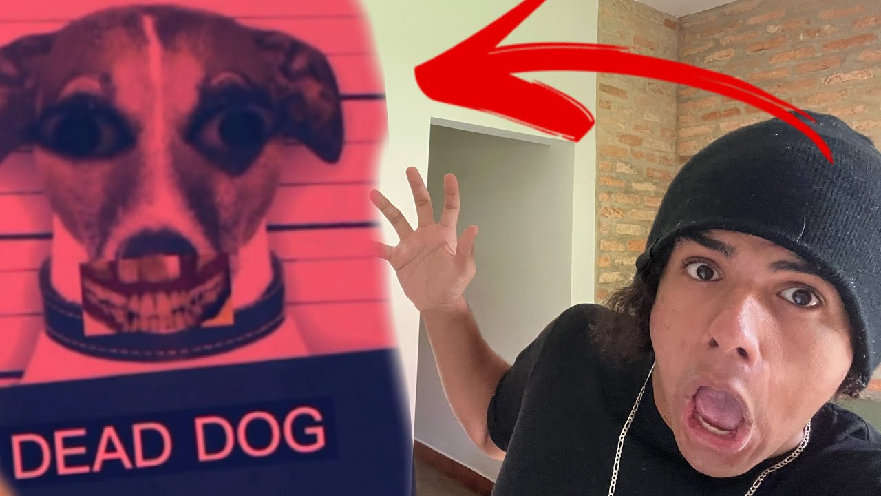 O Maior pesadelo da minha vida ☠️☠️(história completa)