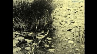 Dorothy Donegan Trio - Love For Sale