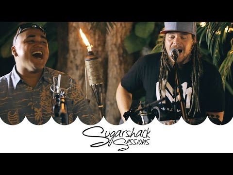 The Green - Something About It (Live Music) | Sugarshack Sessions