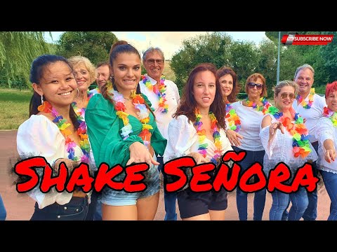 Shake Señora | DJ SHORTY 🆚 EL MICHA  Balli gruppo 2020 | Baile en linea | line DANCE | COREOGRAFIA