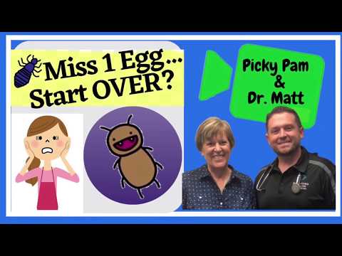 Best Lice Removal Combing Technique | Step-by-Step in 1 Minute