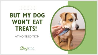 Dog not food motivated?