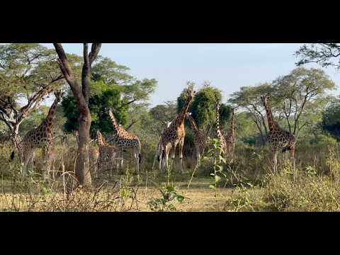 Uganda: Northbound -  EP1 / LONG WAY IN