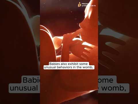 😍What BABY does in WOMB (Weird + Wonderful)