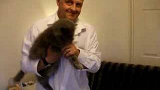 One man and his very grumpy cat