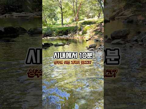 [2026 상주시 sns 서포터즈] 상주에서 만나는 여름 풍경, 용흥사 주변 계곡