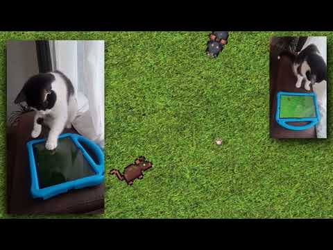 Game For Cats