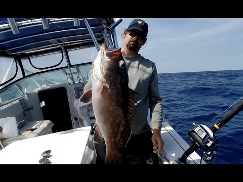 DEEP DROPPING FLORIDA: SNOWY GROUPER IN 500+ FEET