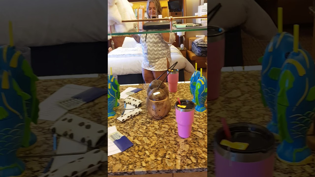 Carnival Pride - Cabin 7299 - Video 3