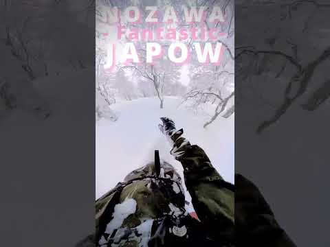 DEEPEST POWDER in 22-23 SEASON ❛NOZAWA❜ #japow #powder #ski #snowboard #japan #snow #winter