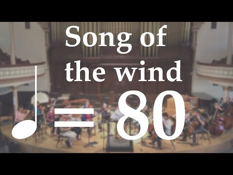 Suzuki Violin Book 1 | Song of the Wind | Orchestral Accompaniment | 80 BPM