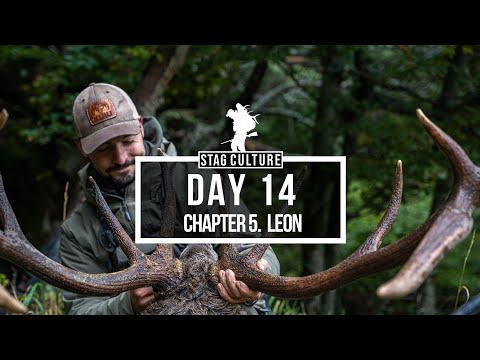 STAG CULTURE DAY 14 - THE BIGGEST STAG I HAVE EVER TAKEN - HUNT HARD AND NEVER QUIT - LEON MOUNTAINS