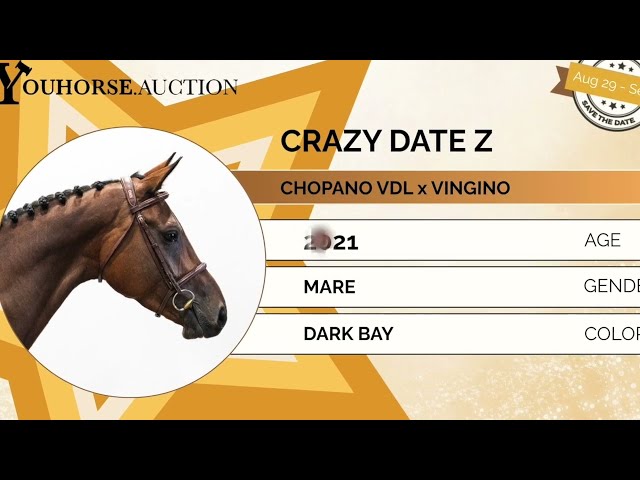 Crazy Date trainingsvideo