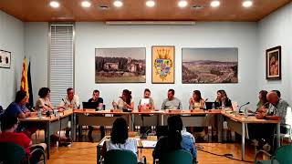 Ple Ordinari 29-07-2025