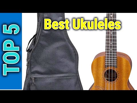 Top 5 Best Ukuleles In 2023