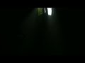 New Tamil Songs WhatsApp Status Video Ennadi Mayavi Ne Ringtone
