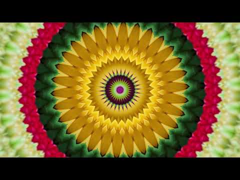4K Flower Radial Kaleidoscope Tutorial (Under-Sampled Blurry Image But Still Beautiful) (2 Minutes)