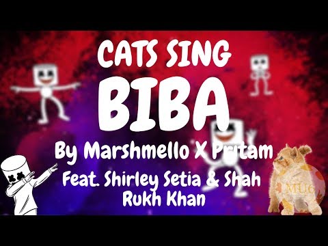 Cats Sing BIBA by Marshmello X Pritam feat. Shirley Setia & Shah Rukh Khan | Cats Singing Song