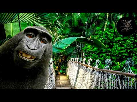 Modeselektor......WMF Love Song