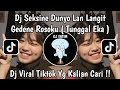 DJ SEKSINE DUNYO LAN LANGIT GEDENE ROSOKU DJ TUNGGAL IKA REMIX MENGKANE VIRAL TIKTOK 2026