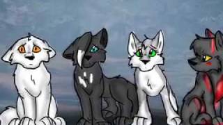 Cow Of The Wild Episode Four