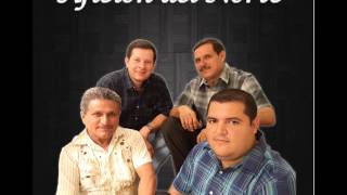 Afición del Norte - Zenaida ingrata