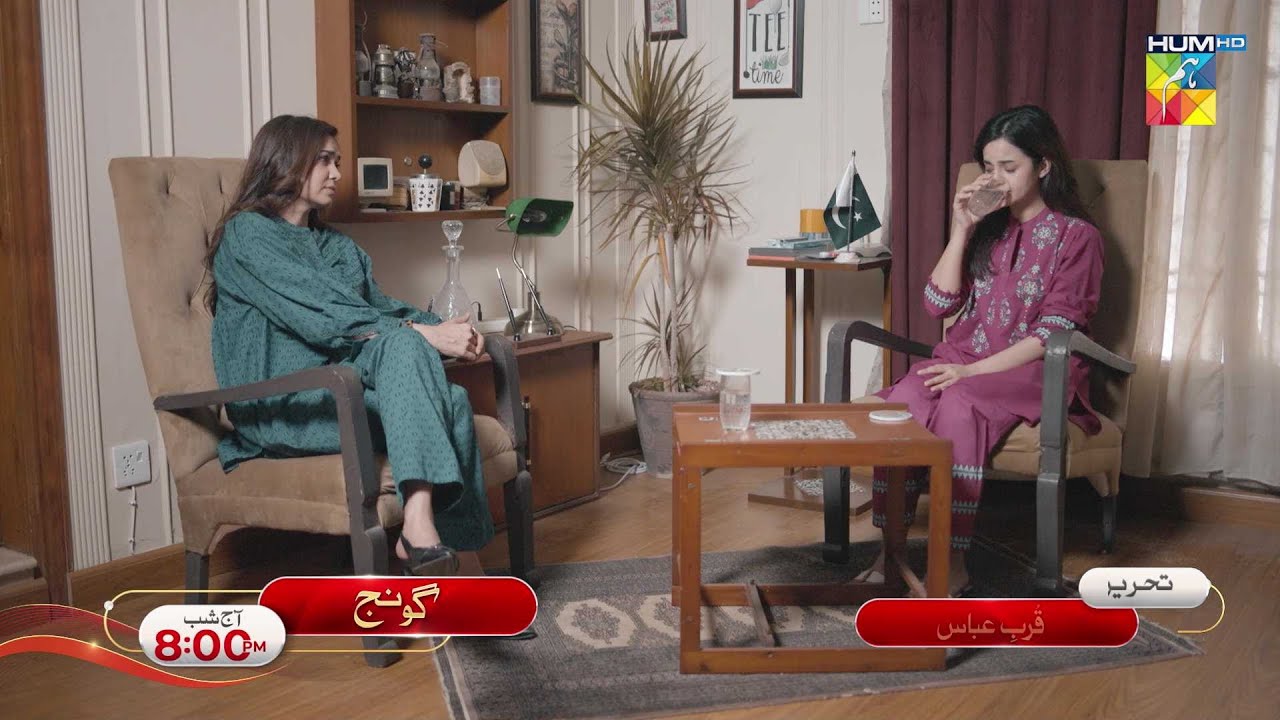 Goonj Episode 24 Promo - Tonight at 08 pm [ Komal Meer, Mirza Gohar Rasheed & Feroz Kadri ] - HUM TV