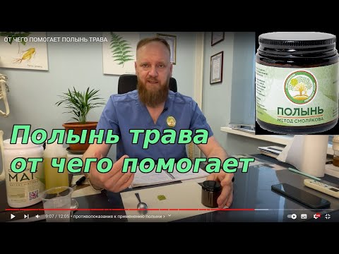 ОТ ЧЕГО ПОМОГАЕТ ПОЛЫНЬ ТРАВА