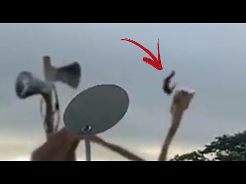 5 Time Siren Head eating people - Paranormal TOP 5
