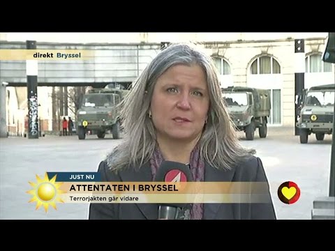 TV4:s utsände: "Terrormisstänkt säger att han inte är hjärnan bakom" - Nyhetsmorgon (TV4)