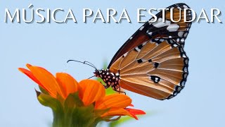 MEDITAÇÃO PARA RELAXAR O Encanto das Borboletas  ( The Charm and Brightness of Butterflies )