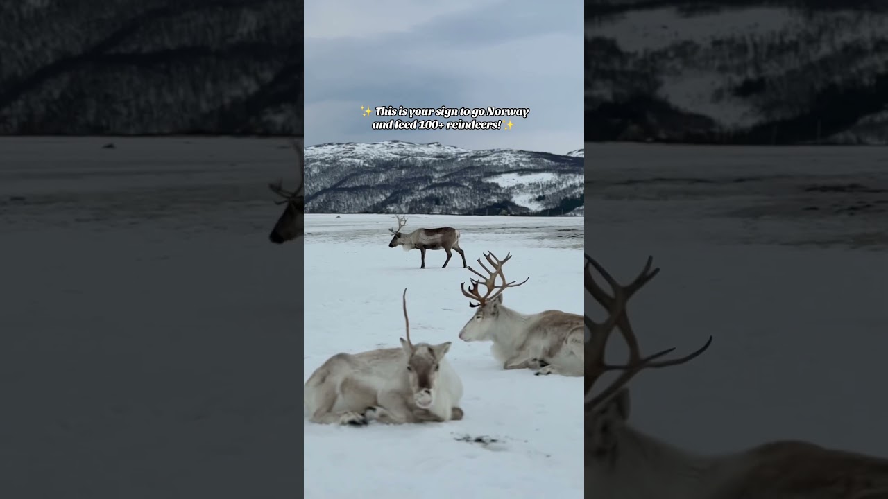 YouTube Short thumbnail